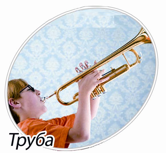 trumpet