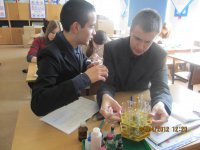 Урок химии - 9 класс - февраль 2010