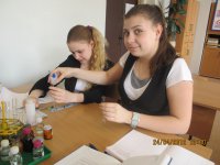 Урок химии - 9 класс - февраль 2010