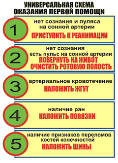 Универсальная схема оказания ПМП